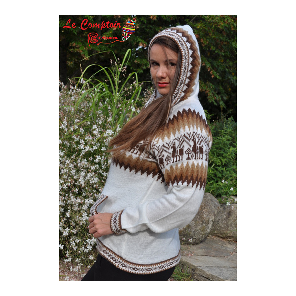 Cardigan Femme Long Et Ample – Tricoté, à Capuche, Poches, Plusieurs Coloris (tailles Asiatiques)