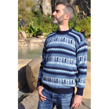 Pull jacquard homme en alpaga